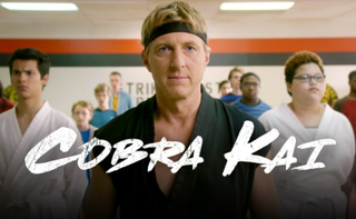 Illustration for article titled Avión Caravionzalez - Episodio III. "Cobra Kai"
